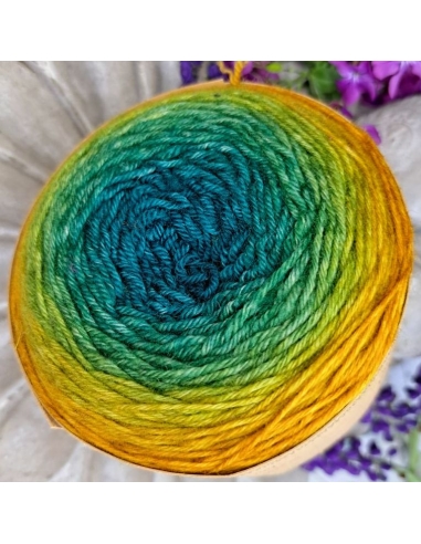 Bilum Loli | hand-dyed gradient yarn | merino yarn