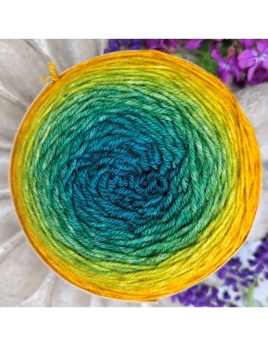 Bilum Loli | hand-dyed gradient yarn | merino yarn