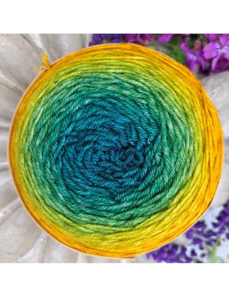 Bilum Loli | hand-dyed gradient yarn | merino yarn