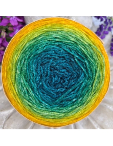 Bilum Loli | hand-dyed gradient yarn | merino yarn