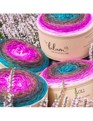 Hand-dyed gradient yarn Bilum Loli