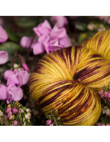 Nina Hand Dyed Yarns Everyday Sport ¦ Superwash merino yarn