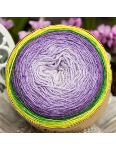 Bilum Loli | hand-dyed gradient yarn | merino yarn